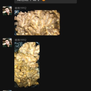 建水中黄姜