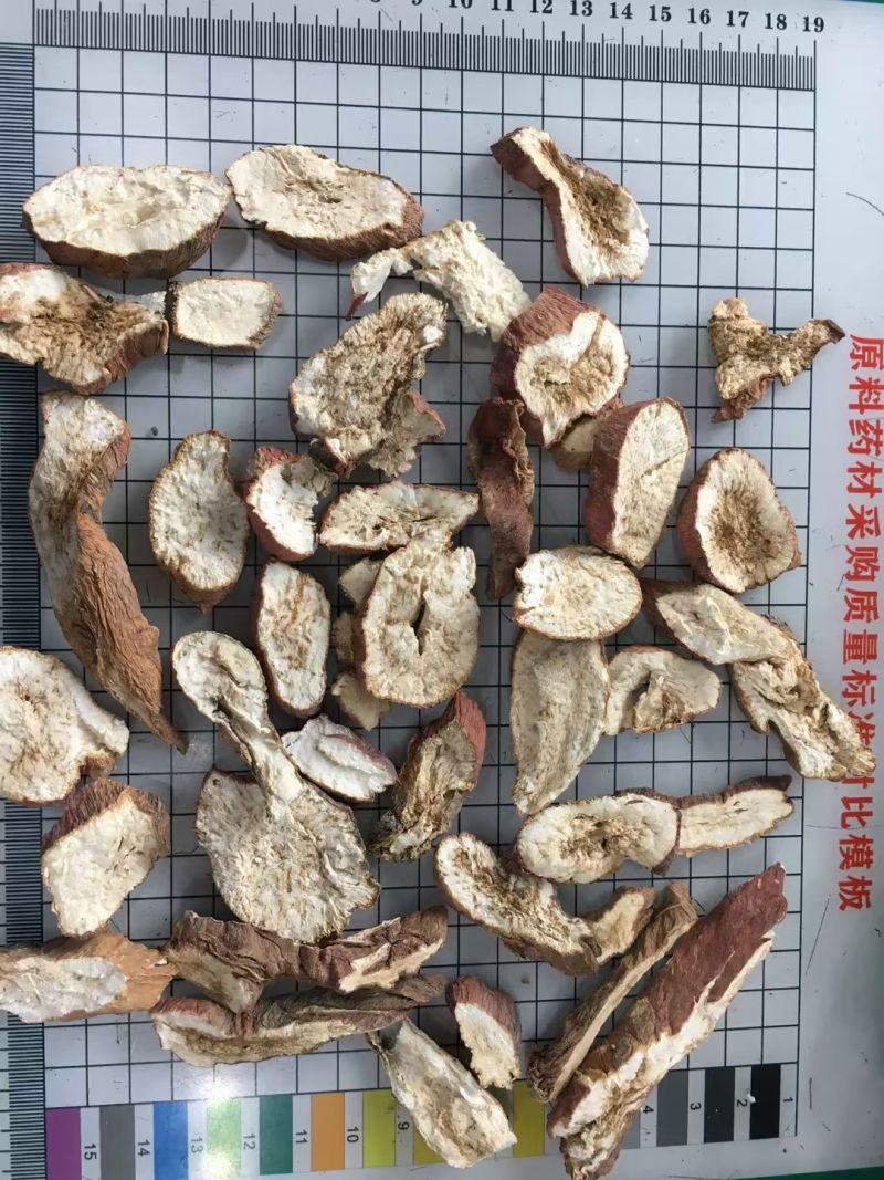 地骷髅干货地骷髅中药材欢迎选购！量大从优！
