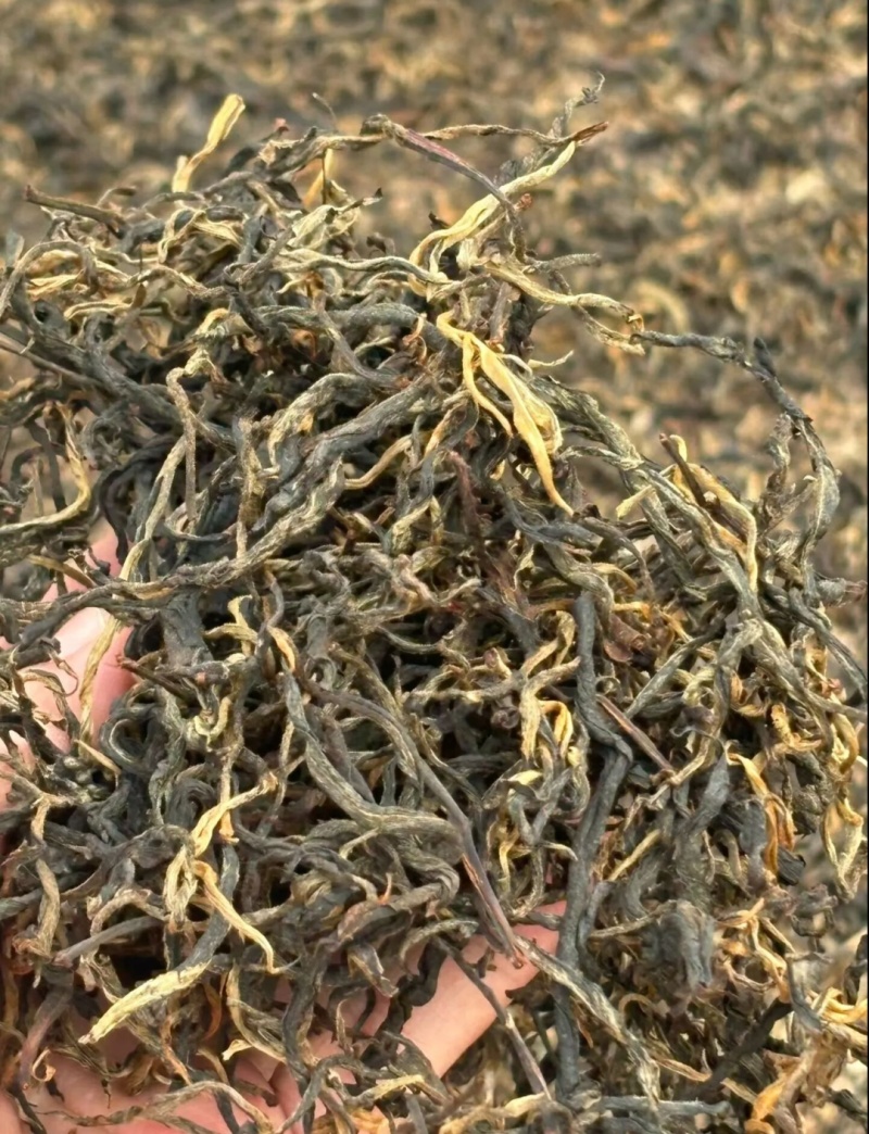 凤庆传统滇红毛峰红茶头春头采蜜香晒红