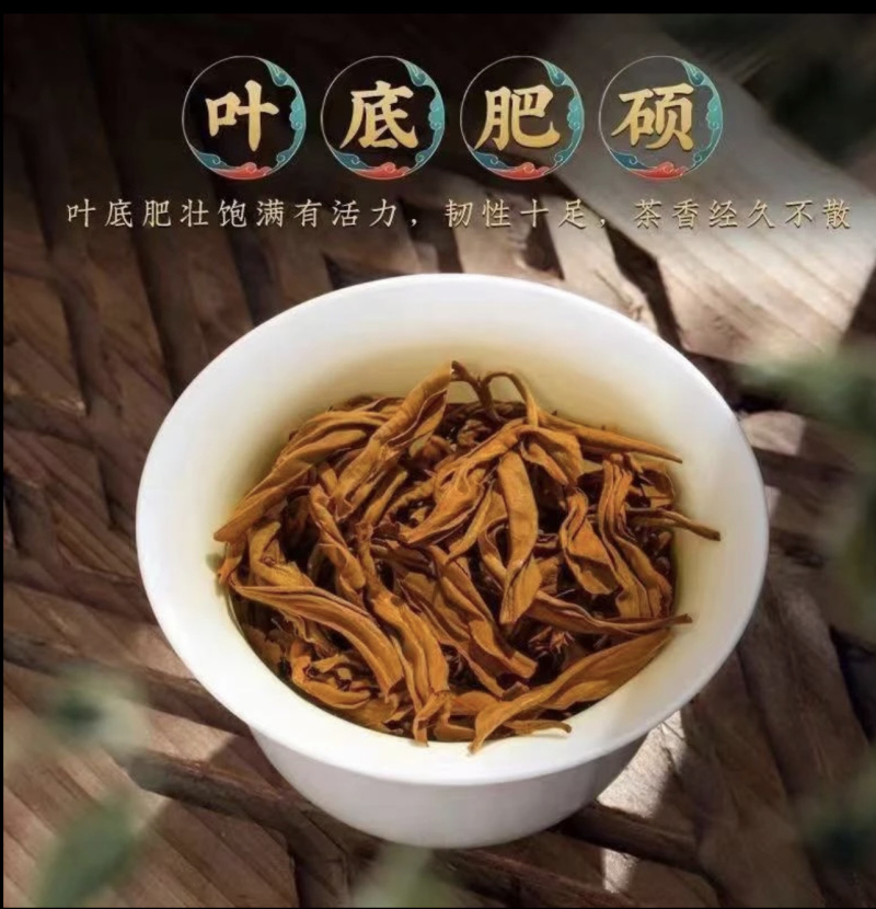 凤庆传统滇红毛峰红茶头春头采蜜香晒红