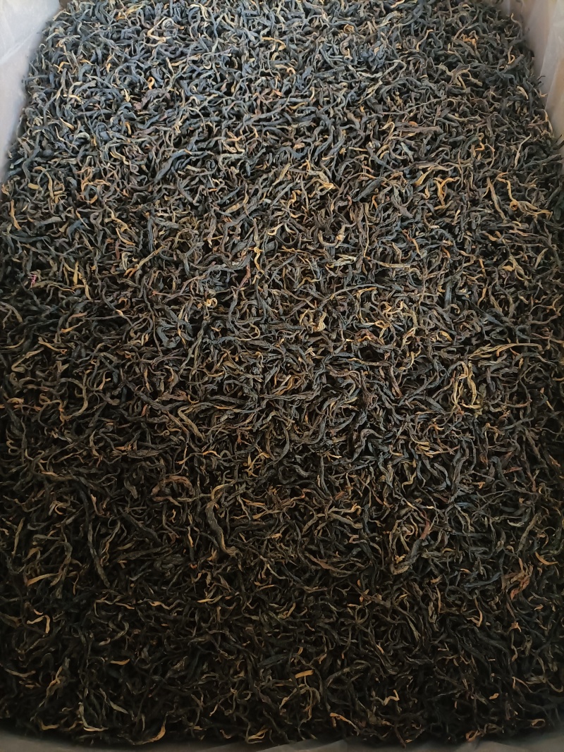 凤庆传统滇红毛峰红茶头春头采蜜香晒红