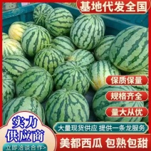 精品美都西瓜，大量上市，全国发货，盛世满糖专版箱