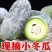 现摘小冬瓜