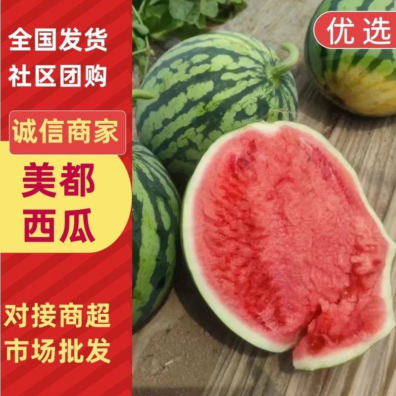 美都西瓜甘肃西瓜产地直发大量供应全国发货专业团队服