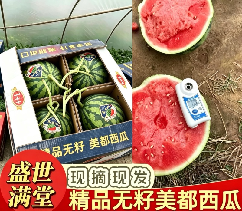 美都西瓜甘肃西瓜产地直发大量供应全国发货专业团队服