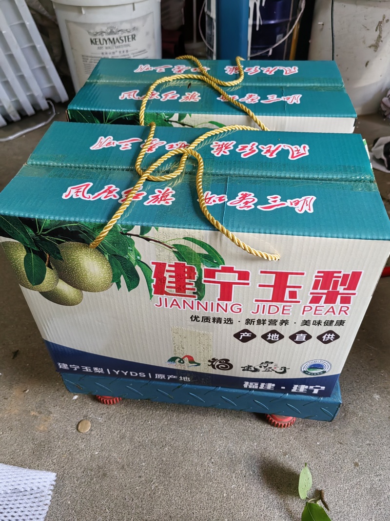 建宁黄花梨