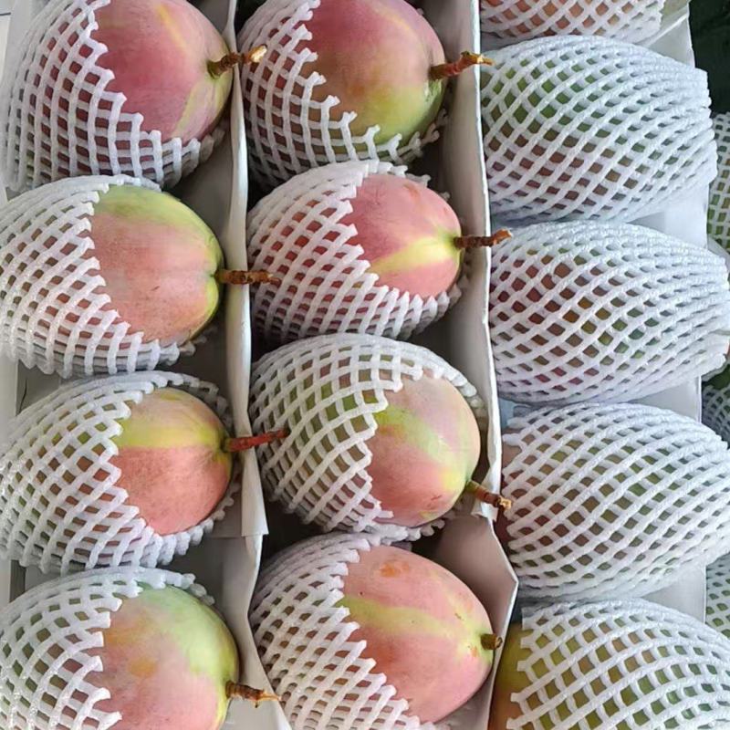 攀枝花凯特芒果产地代办代发，商超供应，奶茶果饮