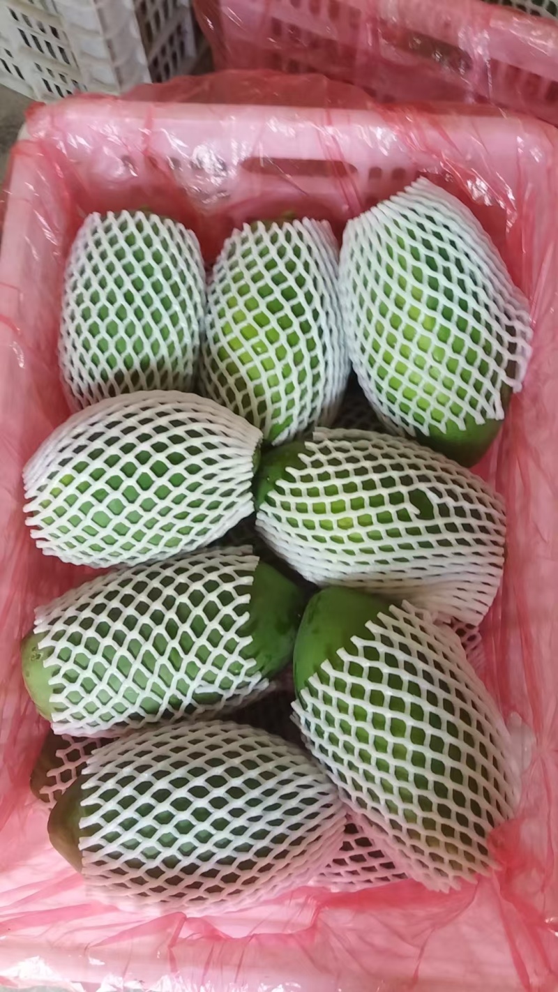 红心木瓜！生木瓜！无子木瓜