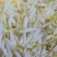豆芽专卖