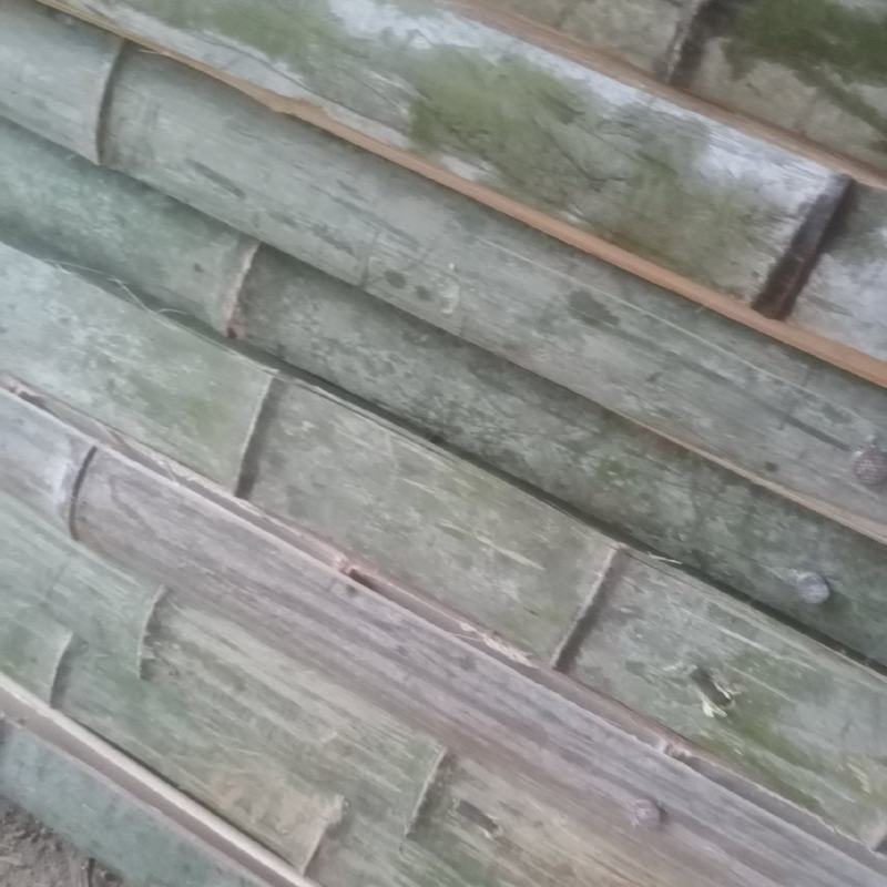 竹架板