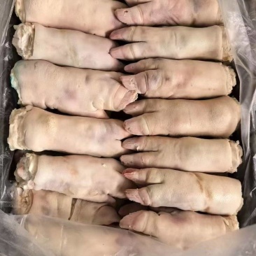 母猪去筋猪蹄