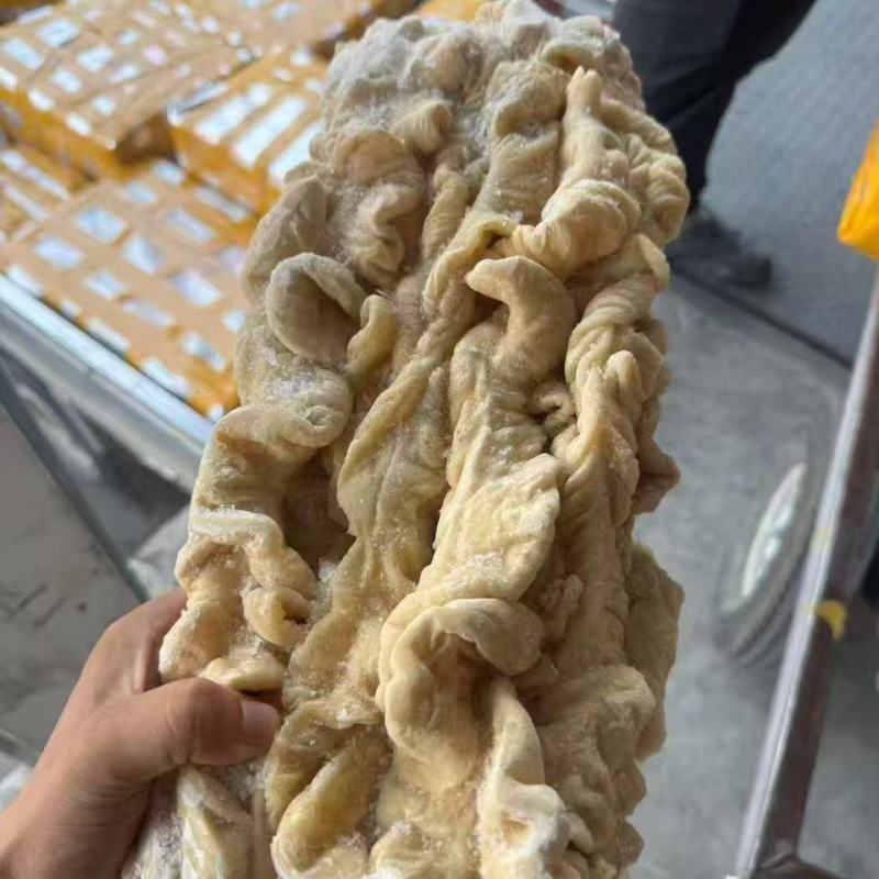 大肠