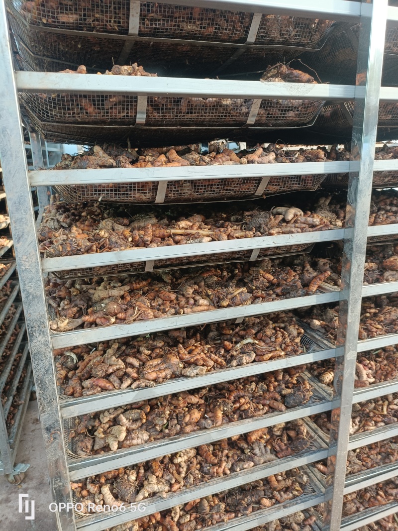 四川犍为县统货干姜黄干姜黄供应稳定，量大价优