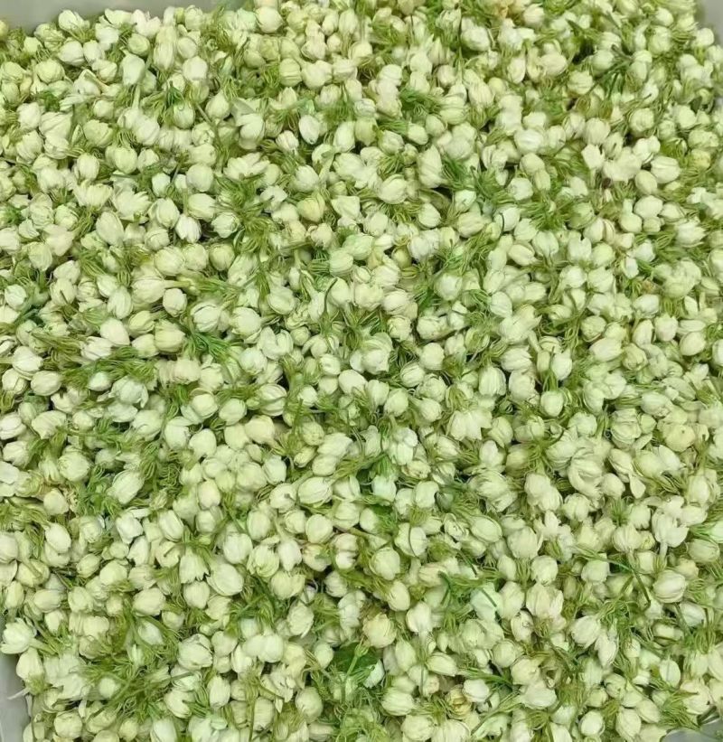 茉莉花干