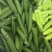 长寿豆荷兰豆豌豆