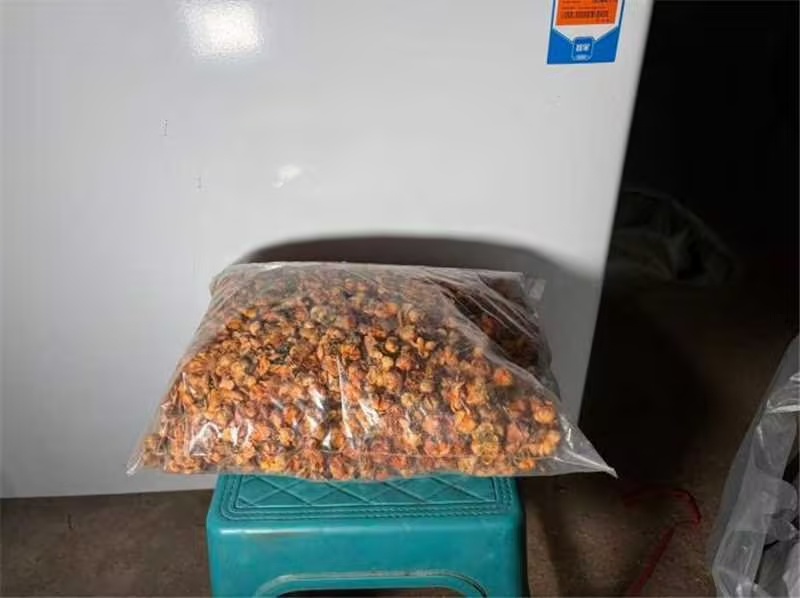 金花茶干花大量有货，量大优惠，质量保证，欢迎合作