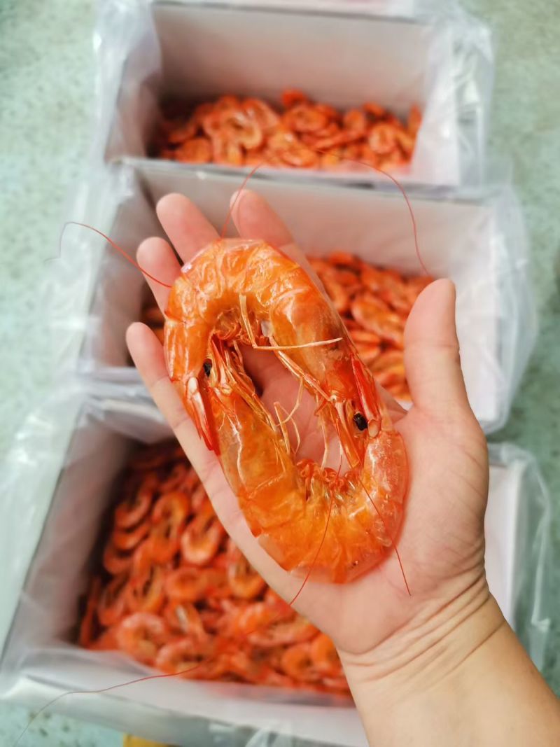 渤海湾盐田烤虾***大量烤虾海米批发零售