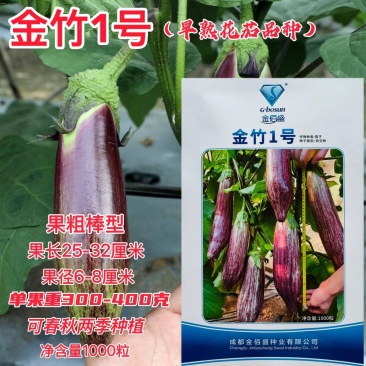 金竹1号早熟花茄品种果实粗棒型商品性好采收期长颜色亮度好