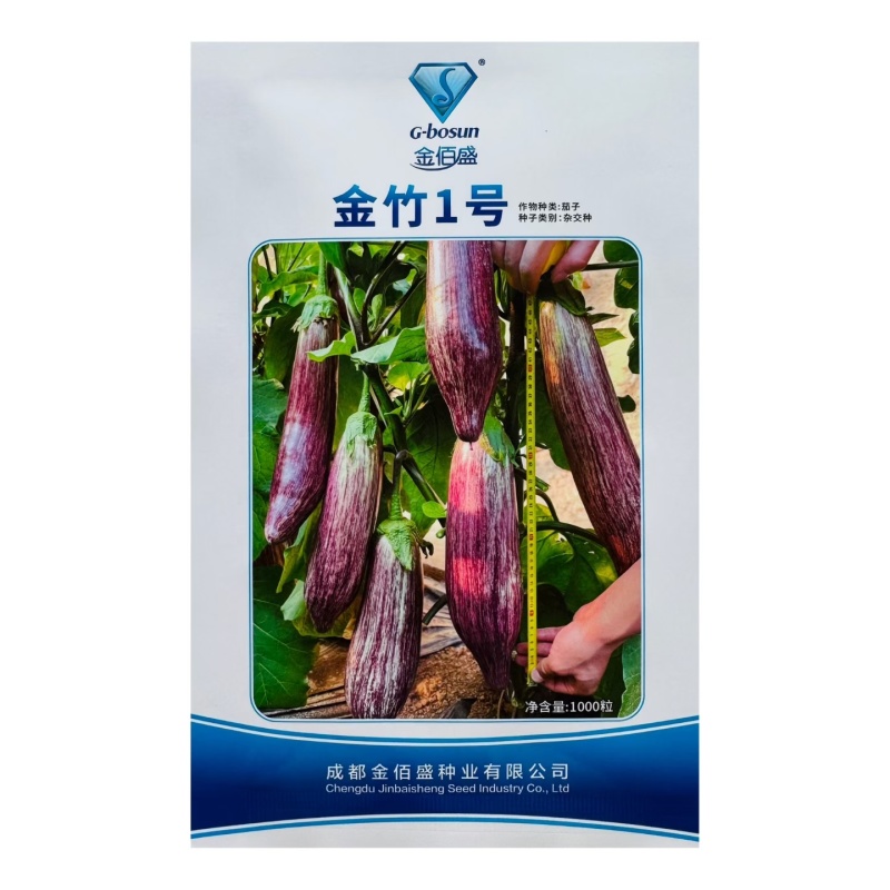 金竹1号早熟花茄品种果实粗棒型商品性好采收期长颜色亮度好