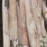 鱿鱼长筒全部规格6两-7两-8两-9两-1斤