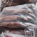 鱿鱼长筒全部规格6两-7两-8两-9两-1斤