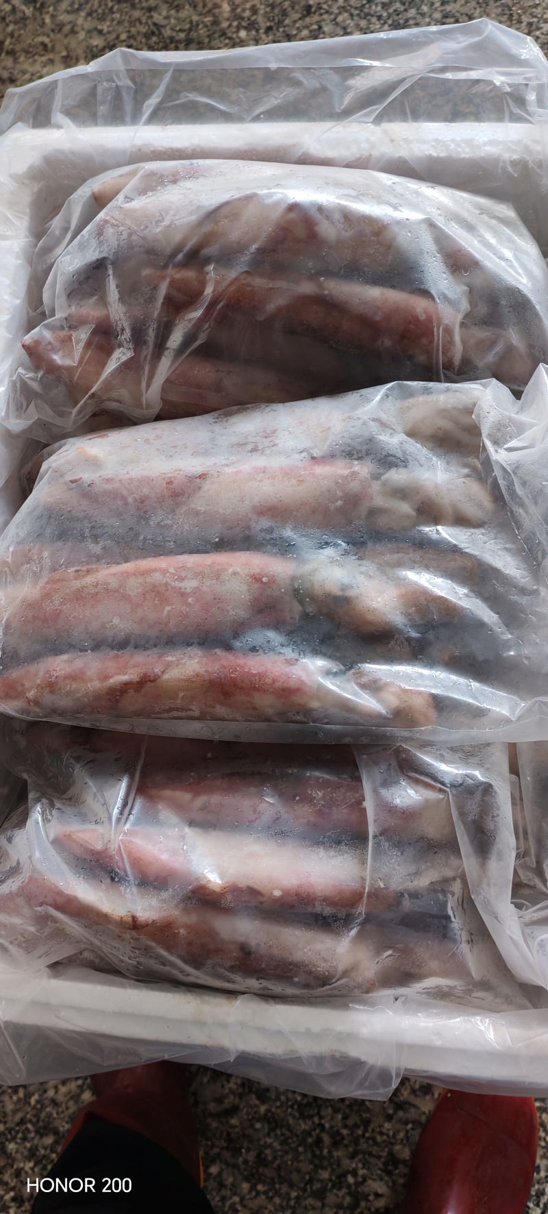 鱿鱼长筒全部规格6两-7两-8两-9两-1斤