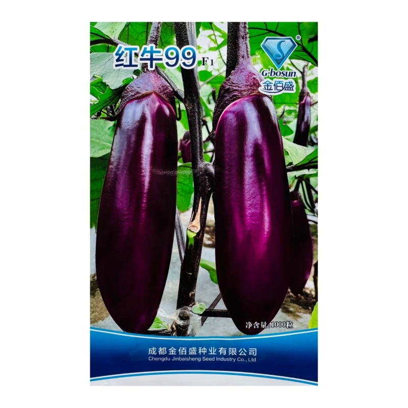 红牛99光泽度好杂交一代紫红茄肉质细嫩货架期长抗病高产基
