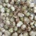 百合