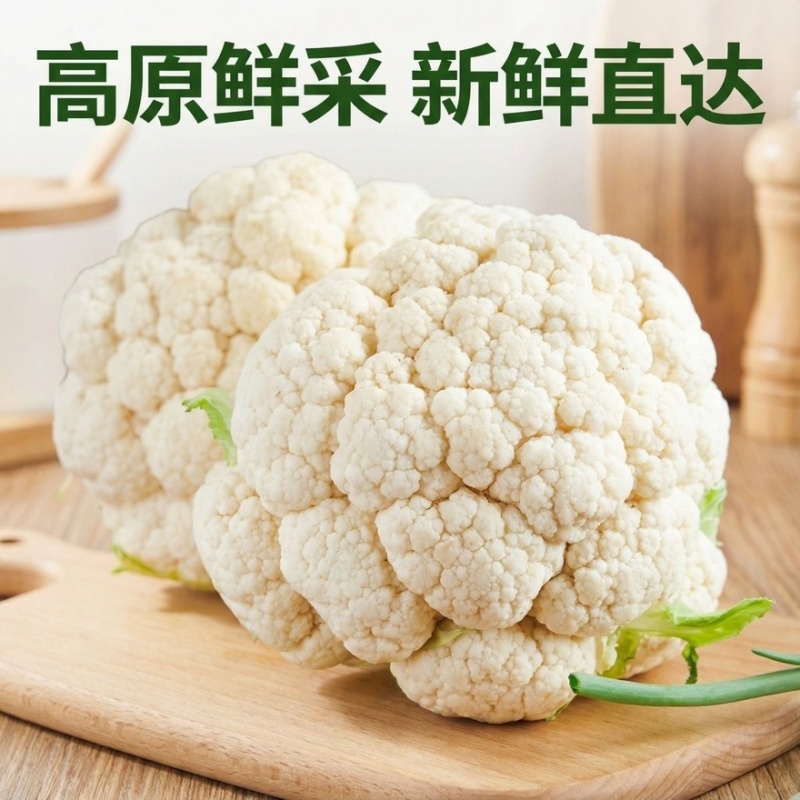 甘肃花菜品质保证诚信经营欢迎联系接商超市场电商