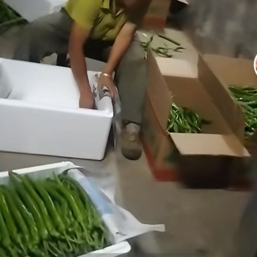 线椒