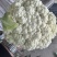 甘肃花菜品质保证诚信经营欢迎联系接商超市场电商