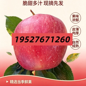 云南早熟红露樱桃小苹果
