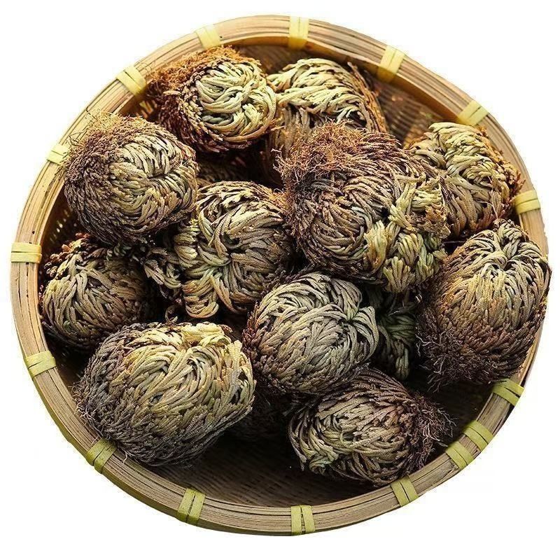 正宗九死还魂草中药材批发还魂草卷柏不死草还阳草