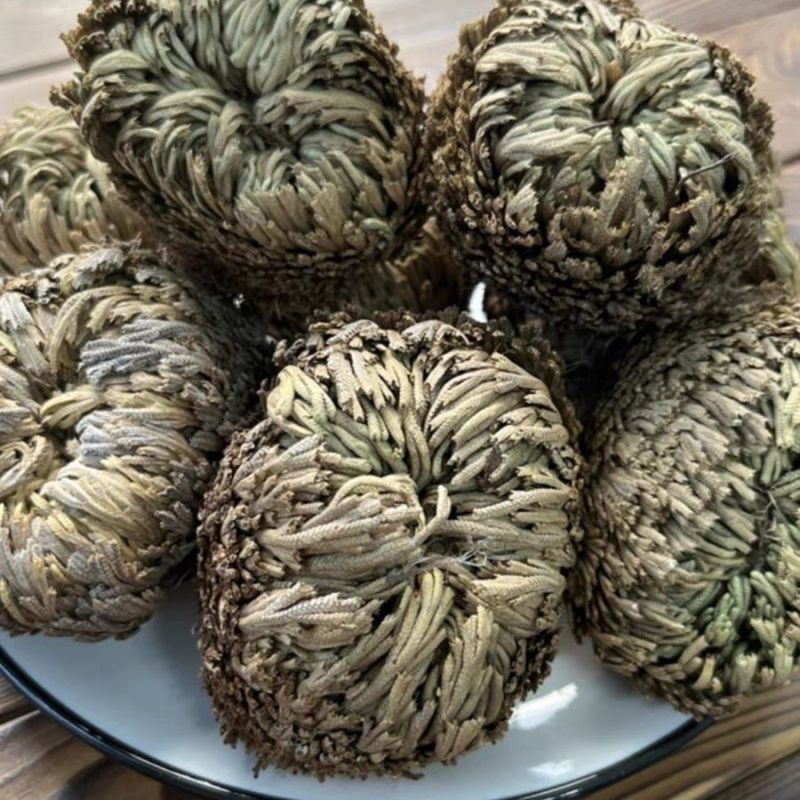 正宗九死还魂草中药材批发还魂草卷柏不死草还阳草