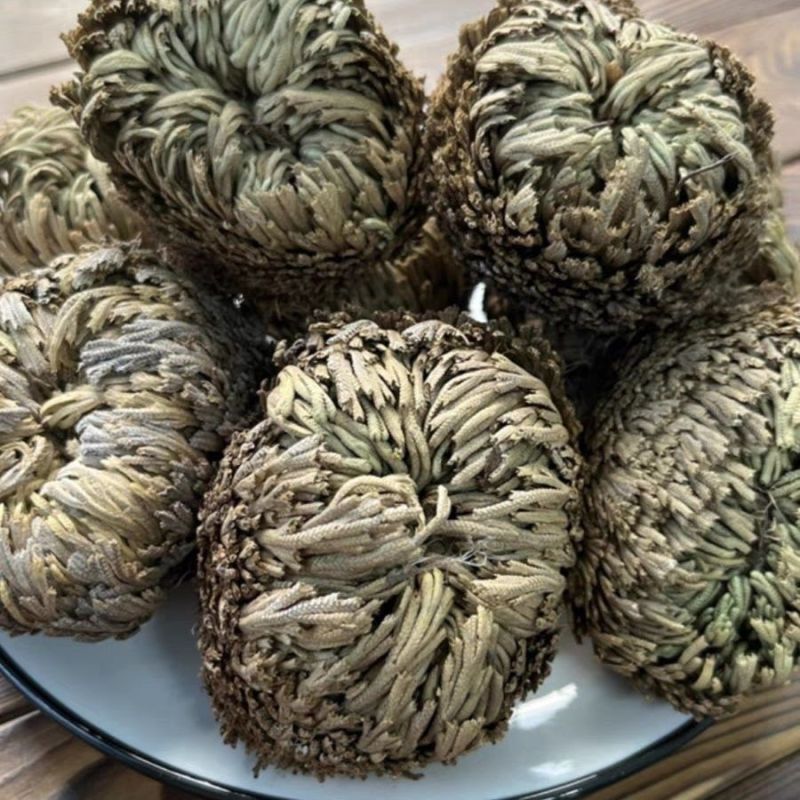 正宗九死还魂草中药材批发还魂草卷柏不死草还阳草