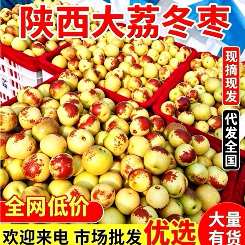 《冬枣》陕西冬枣/陕西鲜枣/原产地直供/现摘现卖全国发货