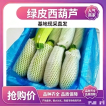 甘肃西葫芦品质保证诚信经营欢迎联系接商超市场电商