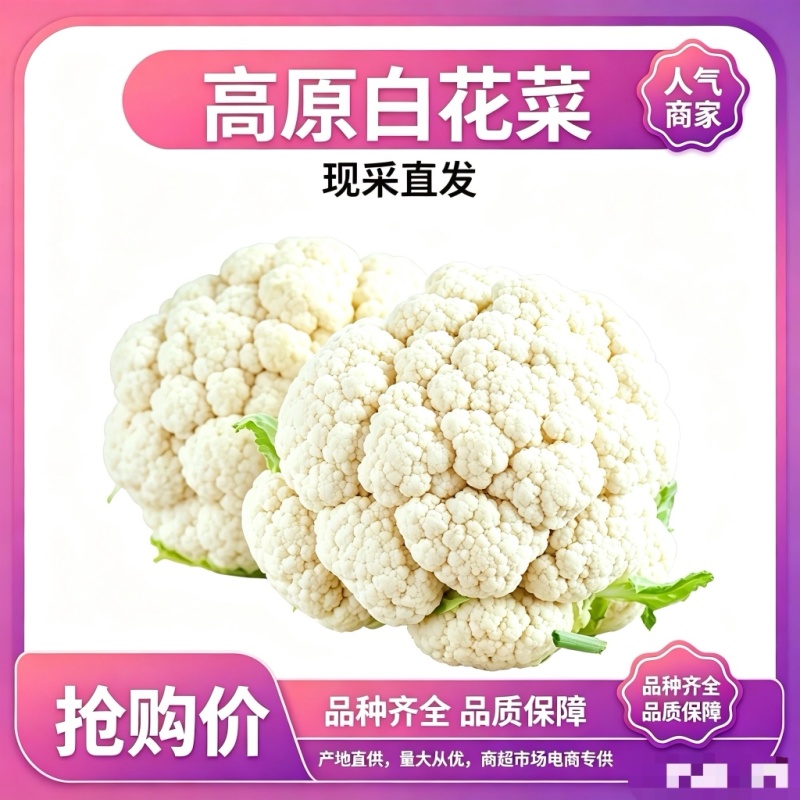 甘肃花菜品质保证诚信经营欢迎联系接商超市场电商