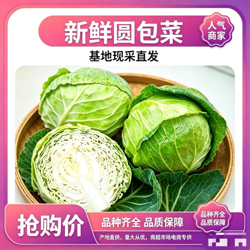 甘肃圆包菜品质保证诚信经营欢迎联系接商超市场电商