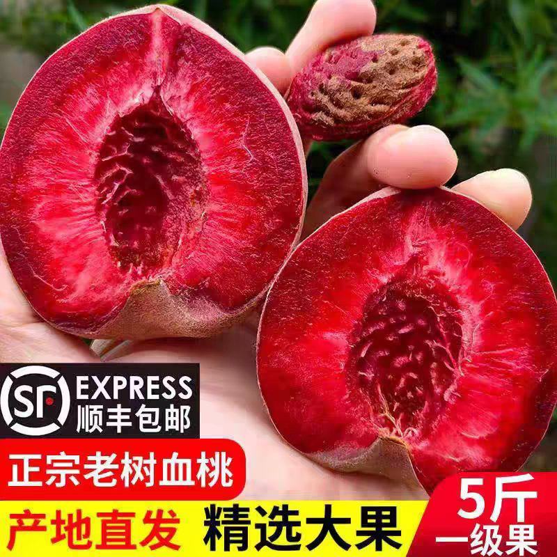 山东老树血桃，电商一件代发，全平台ERP对接