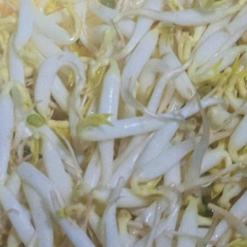 豆芽专卖