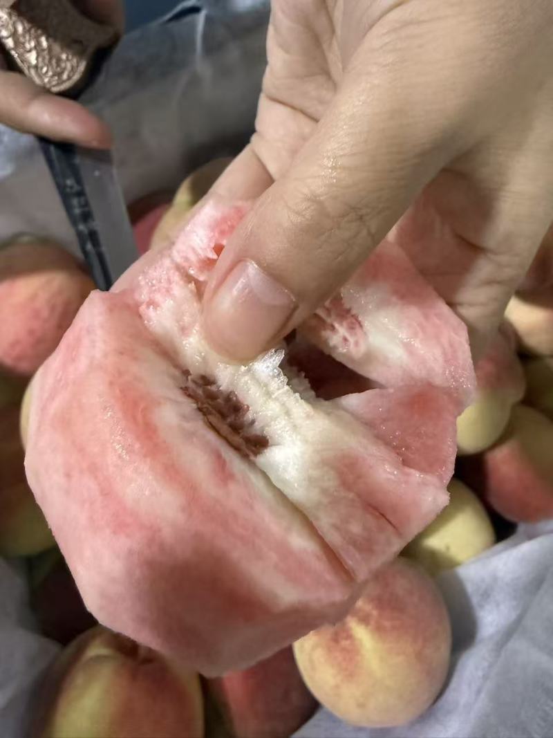 四川红心水蜜桃