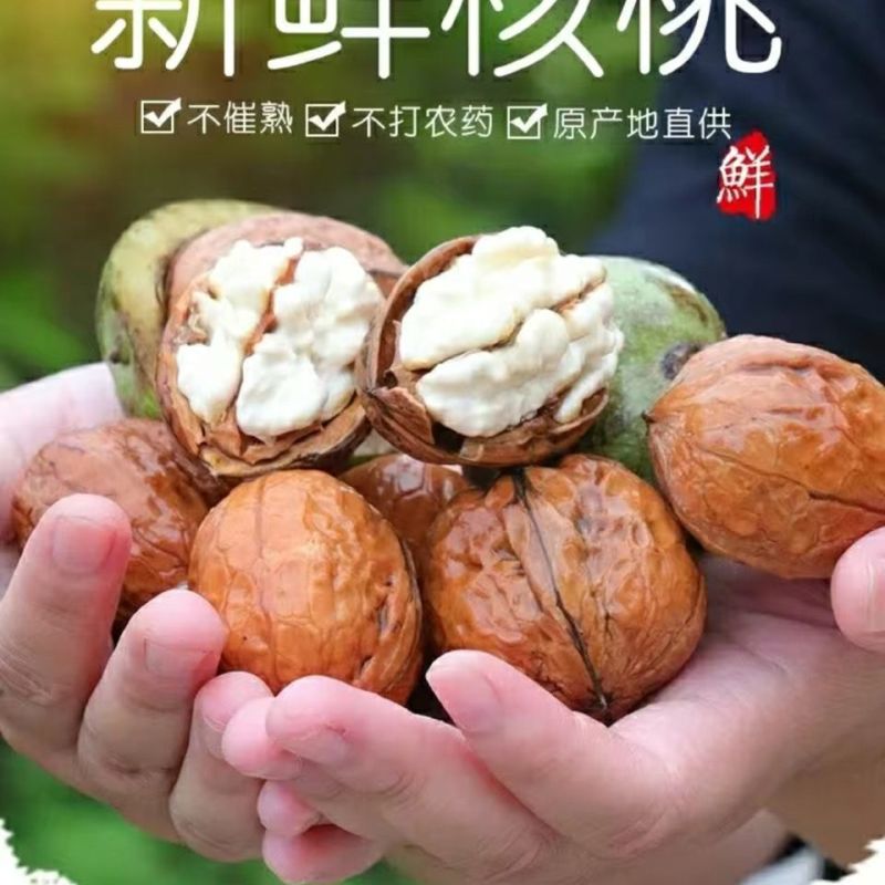 《一件代发》核桃~青皮核桃~去皮鲜核桃电商平台对接日发万