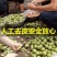 【一件代发】河北青皮核桃~去皮核桃~鲜核桃~对接各大平台