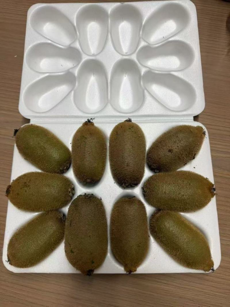 张家界精品米良一号猕猴桃，电商一件一件代发