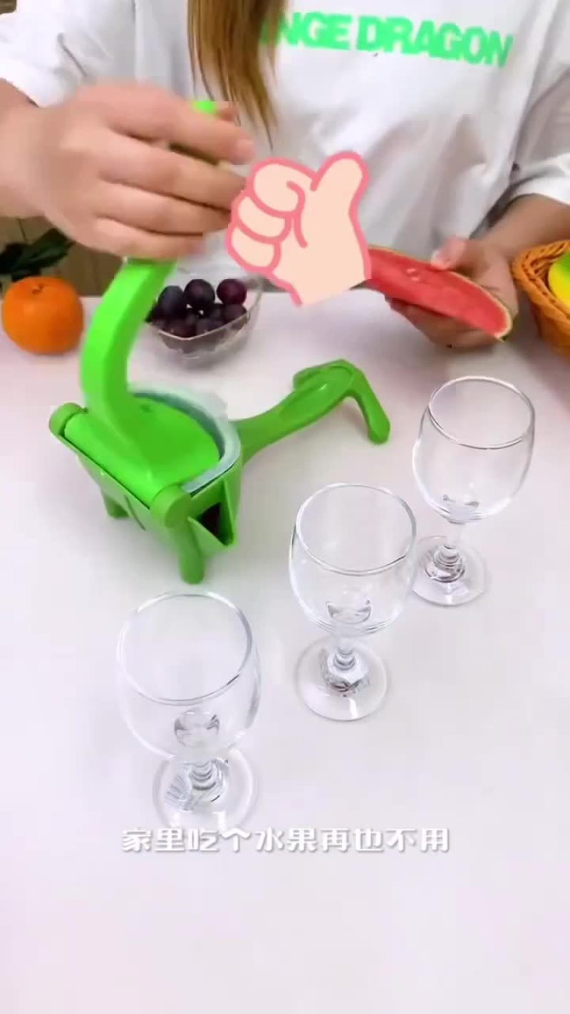 多功能榨汁机榨汁器挤压器水果渣汁分离榨汁压汁