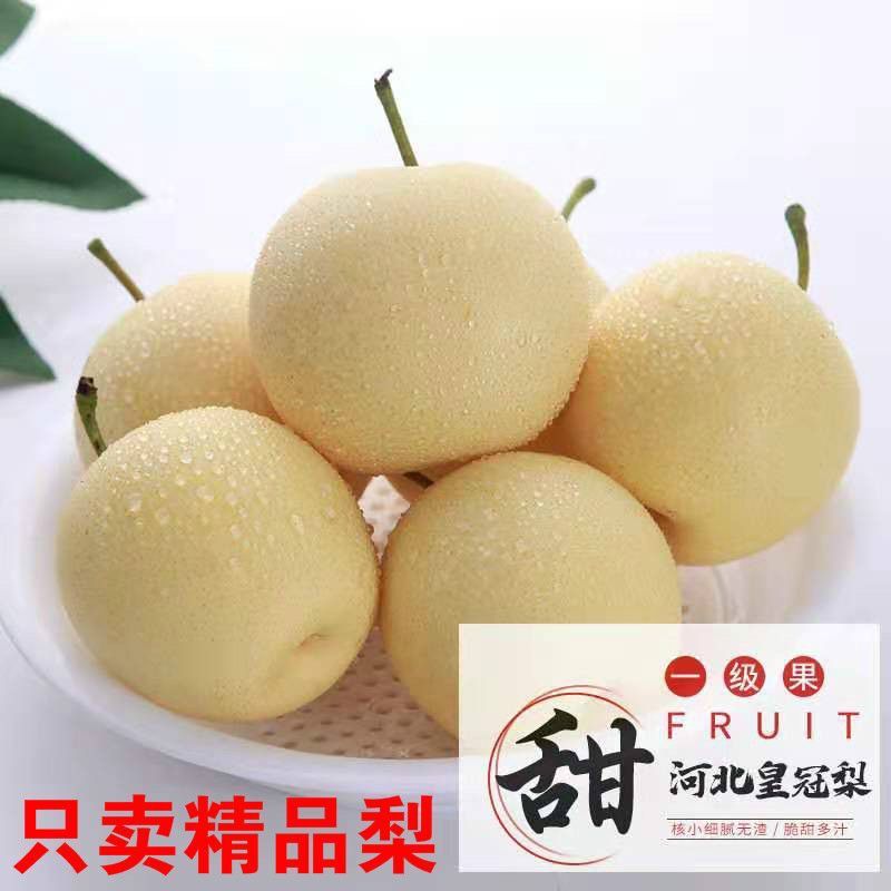河北皇冠梨核心产区，深州产区【格格果蔬】