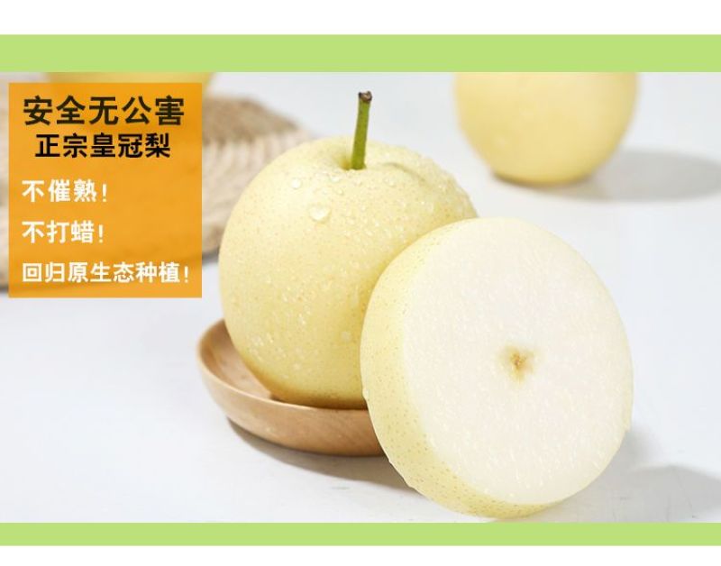 河北皇冠梨核心产区，深州产区【格格果蔬】