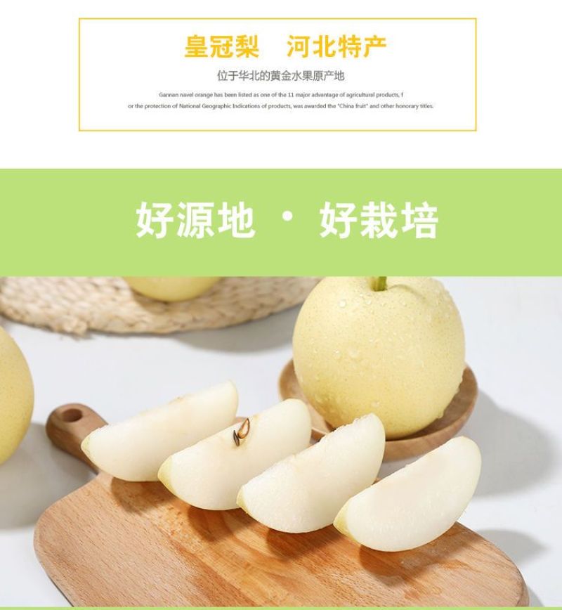 河北皇冠梨核心产区，深州产区【格格果蔬】