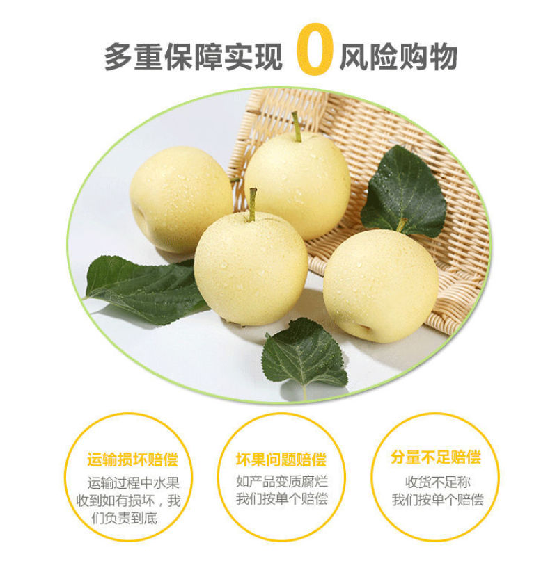 河北皇冠梨核心产区，深州产区【格格果蔬】